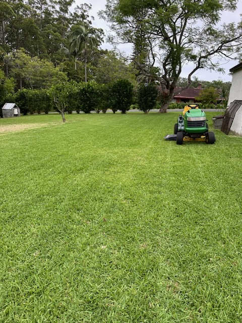Freshly mowed and edged lawn in Coffs Harbour