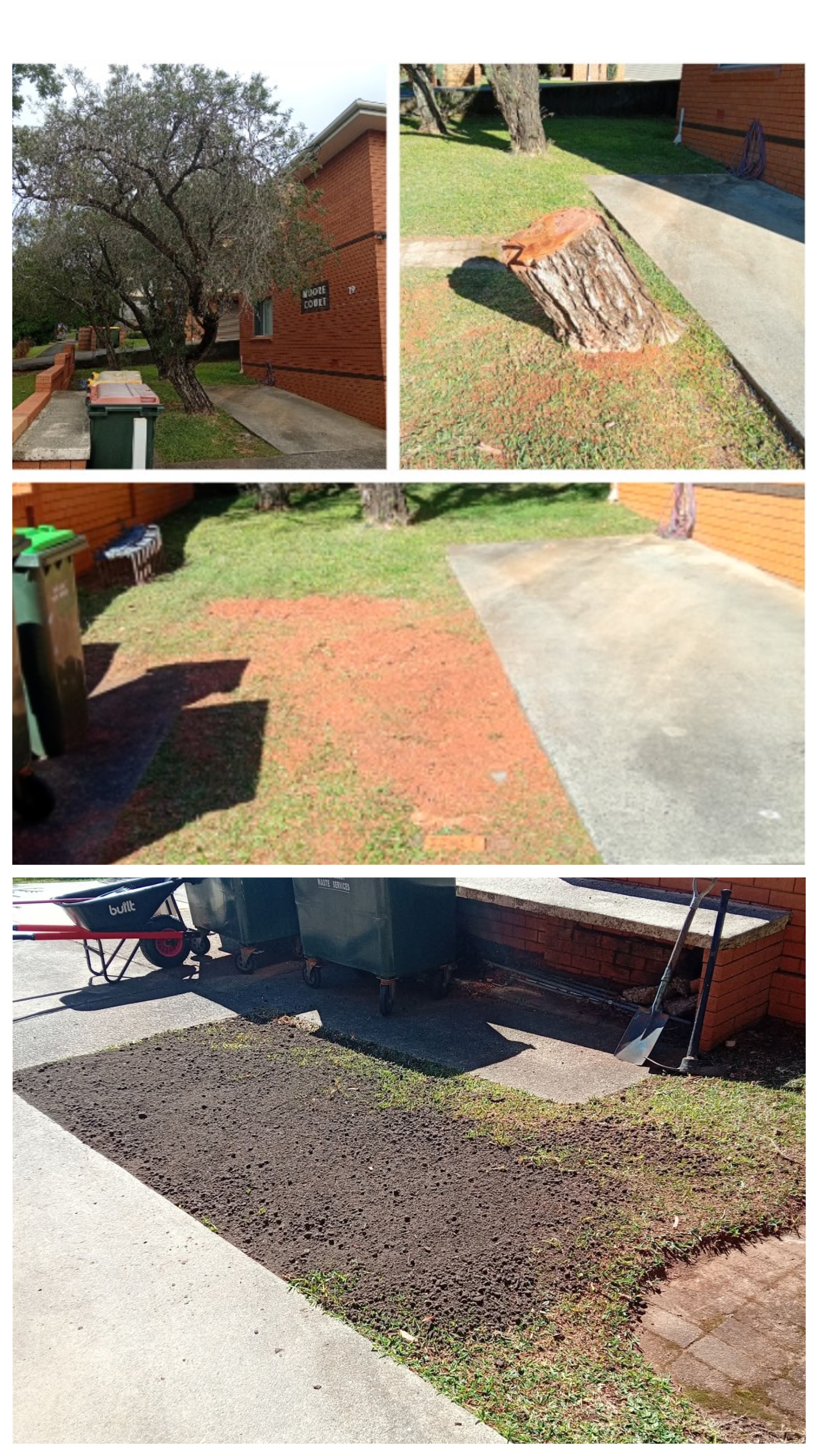 Tree stump grinding job in Coffs Harbour near the Jetty